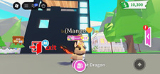 NFR Bat Dragon Adopt Me Roblox In Game Item picture