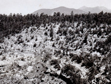 1938 View Up Walnut Canyon Observation Point Arizona RPPC Frashers Inc Postcard picture