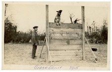 c1915 Police Attack Dog Training Cedar Grove NJ RPPC Photos (4) picture