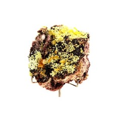 Minerals And Gemstones. Wulfenite + Mimetite. 2392.5 Ct. La Morita Mine picture