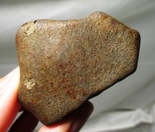 Ness County (1894) meteorite - 151 grams - L6 Chondrite Kansas picture