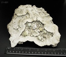 BISBEE SW MNINE EXTREMELY RARE BIRDS NEST HUGE 7.75