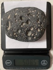 lunar meteorite for sale 508 g for $40000 picture