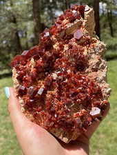 Vanadinite Large Bright Red Crystals On Matrix From Morocco   15.0 Cms picture