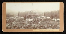 Incredible Stereoview of Detroit, Oregon. C 1890's Marion County. picture