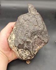 1894g Qinghai lenghu002 Stone Meteorite L5 type Chondrite Meteorite picture