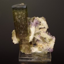 Elbaite with Albite and Lepidolite Fine Collector Mineral Specimen - Brazil picture