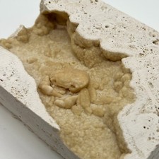 Pleistocene Fossil Crab in Travertine Tile - Denizli, Turkey. Beautiful Potamon picture