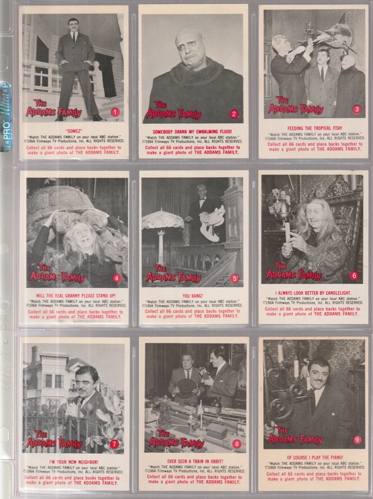 Donruss 1964 THE ADDAMS FAMILY American/White Lot Donruss 1964 THE ADDAMS FAMILY American/White Lot