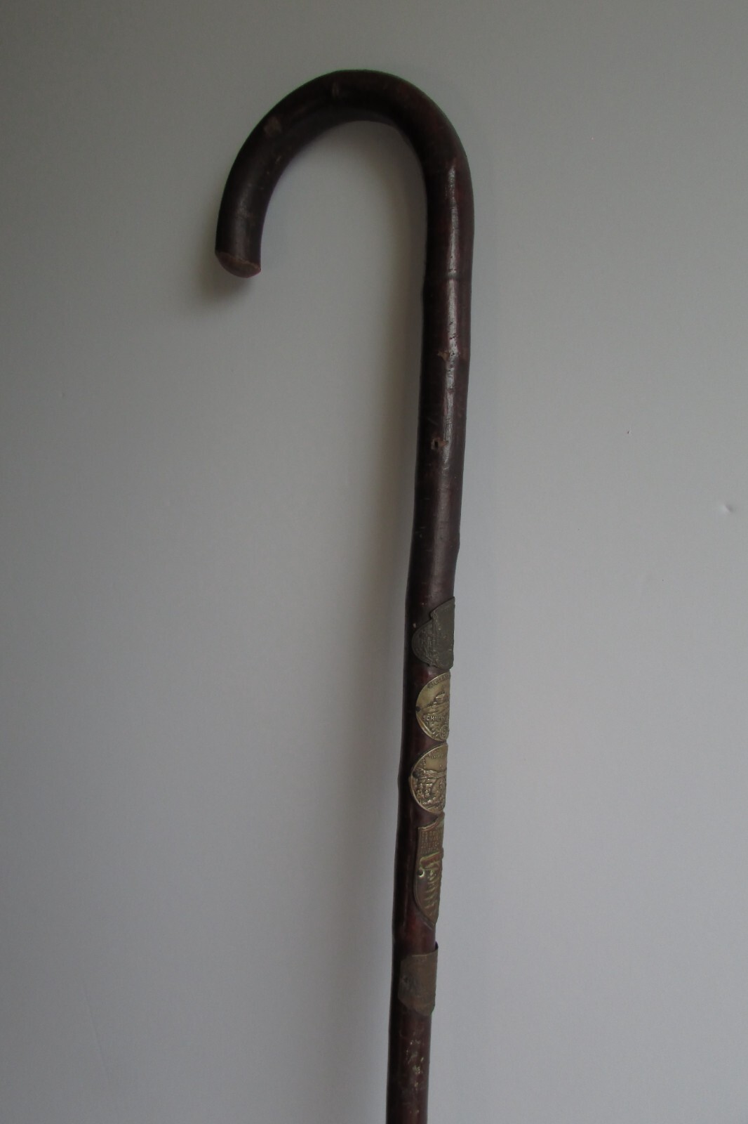 RARE 7th World Jamboree Austria 1951 Boy Scouts Cane RARE 7th World Jamboree Austria 1951 Boy Scouts Cane
