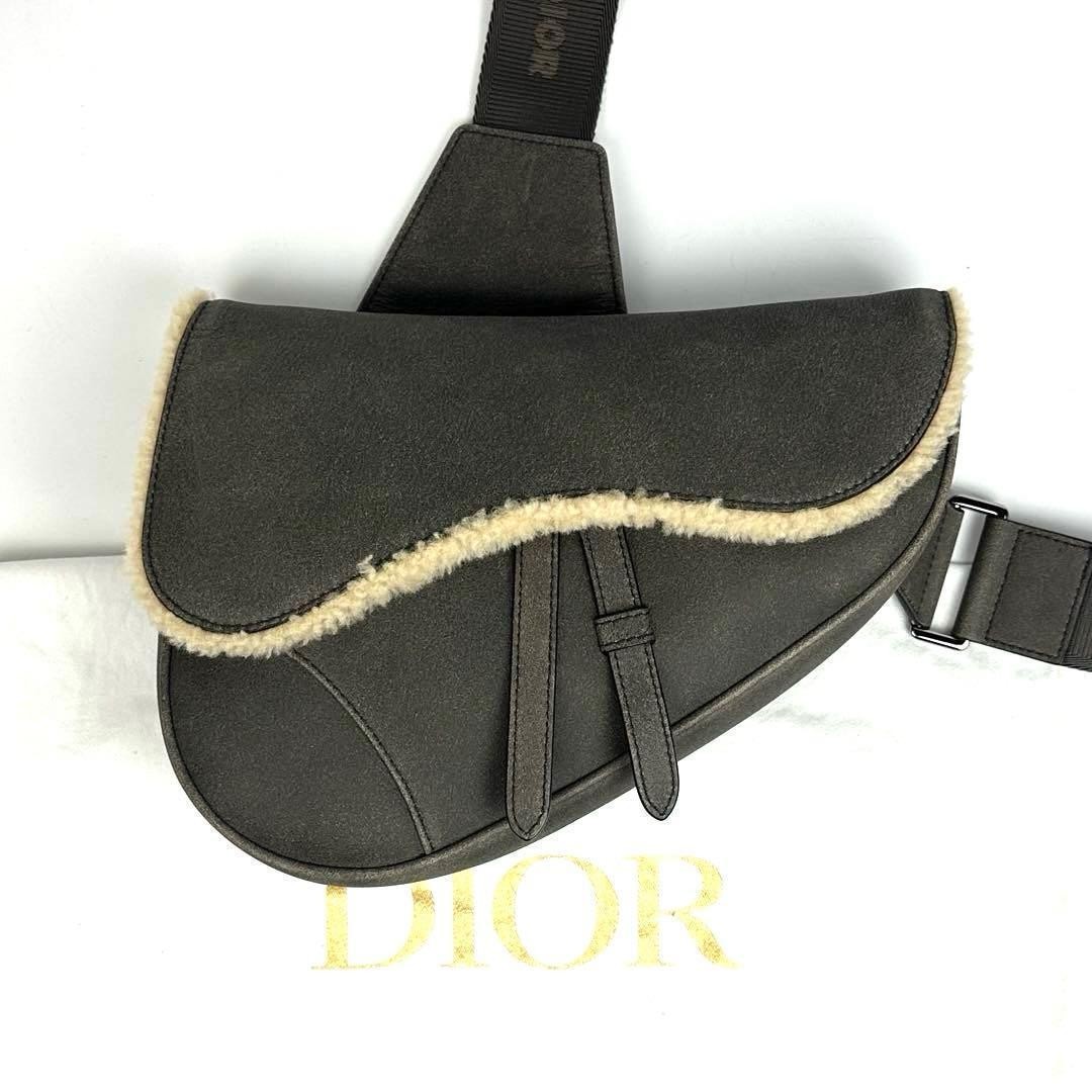 Polar Dior Saddle Shoulder Bag Body Mutton Leather Dior Women Rare Luxury Design