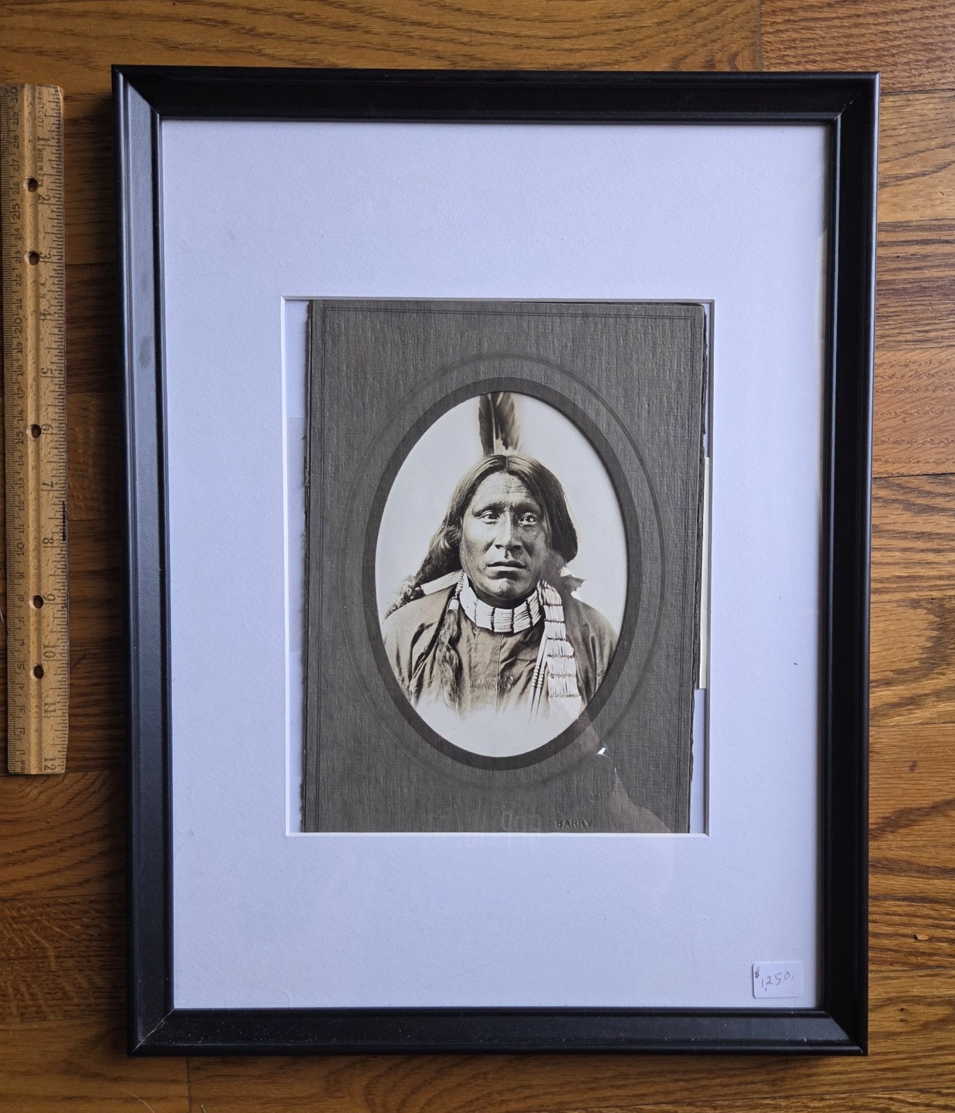 Native American Indian, Vintage Original Photograph By D. F. BARRY, 17x13 Framed Native American Indian, Vintage Original Photograph By D. F. BARRY, 17x13 Framed