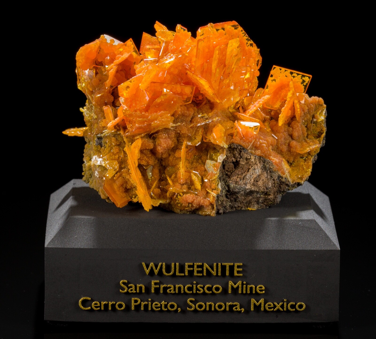 Wulfenite & Mimetite Fine Mineral Specimen - San Francisco Mine, Sonora, Mexico Wulfenite & Mimetite Fine Mineral Specimen - San Francisco Mine, Sonora, Mexico