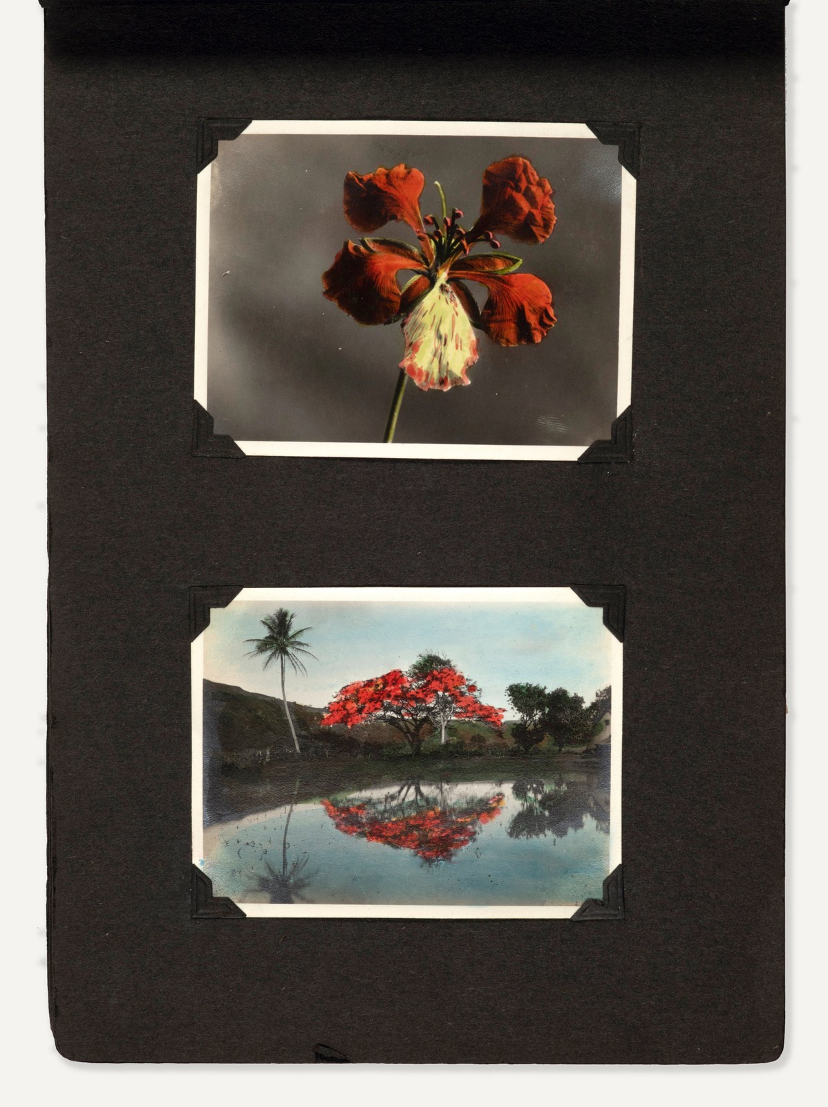 1910s-40s Photo Album with 174 Hand-Colored Silver Print Photos of Hawaii