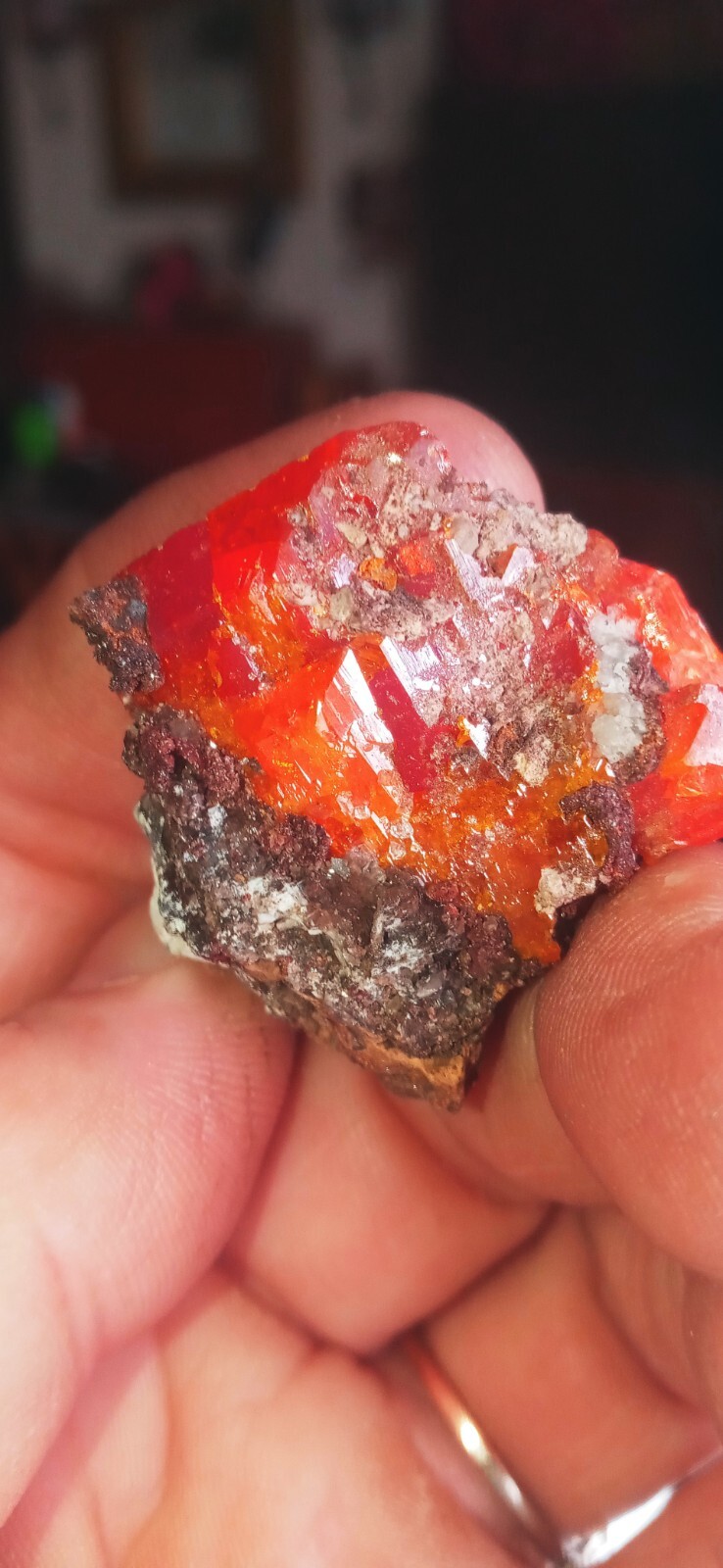 wulfenite red cloud mine, Yuma County, Arizona #72 wulfenite red cloud mine, Yuma County, Arizona #72