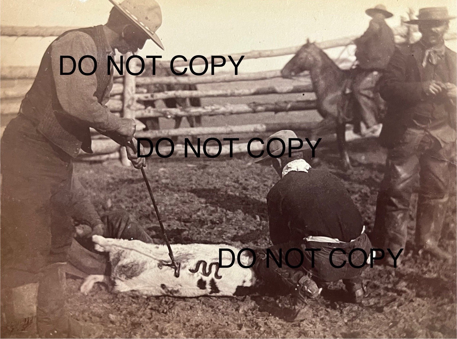 Cowboy Cabinet Card Photos 1880s L A Huffman originals Miles City Montana Rare Cowboy Cabinet Card Photos 1880s L A Huffman originals Miles City Montana Rare