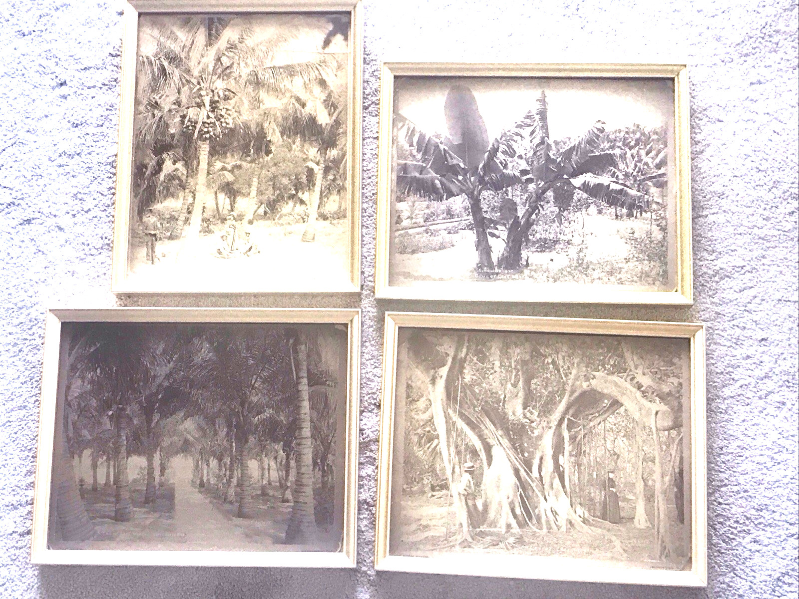 4 DIFFERENT ORIGINAL FRAMED 1890’s Photographs LAKE WORTH, FLORIDA